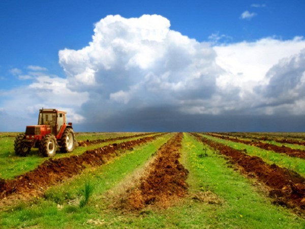 В Армении распускают Государственную инспекцию сельхозтехники Минсельхоза