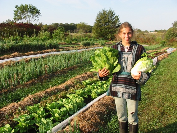 Armenia improves organic production market